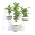 hand painted pottery planter