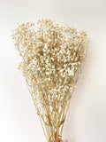 Dried Baby Flower Vase Filler - Beige