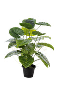 Alocasia Mini Artificial Tree 24 Installable Green Leaves - H70CM