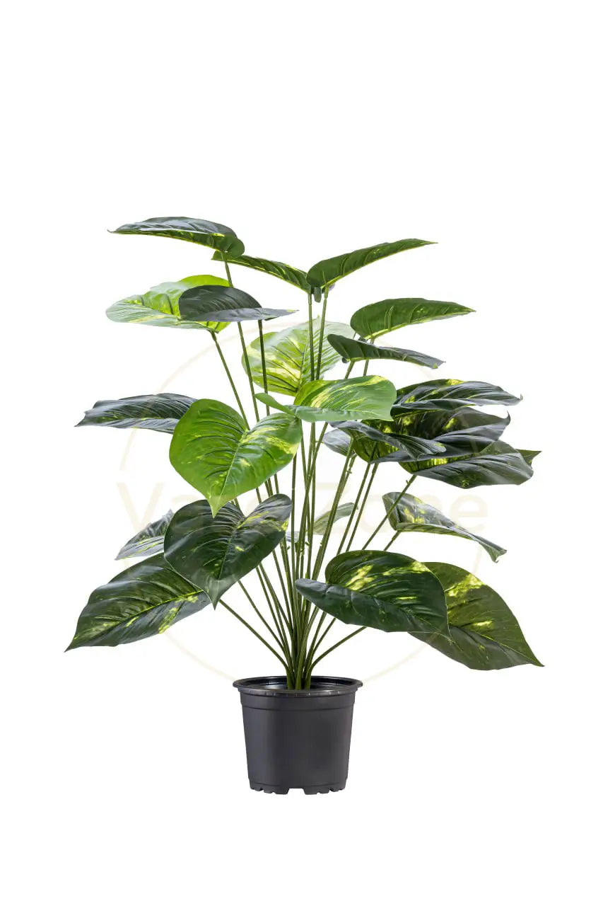 Alocasia Mini Artificial Tree 24 Installable Lush Yellow-Green Leaves - H70CM