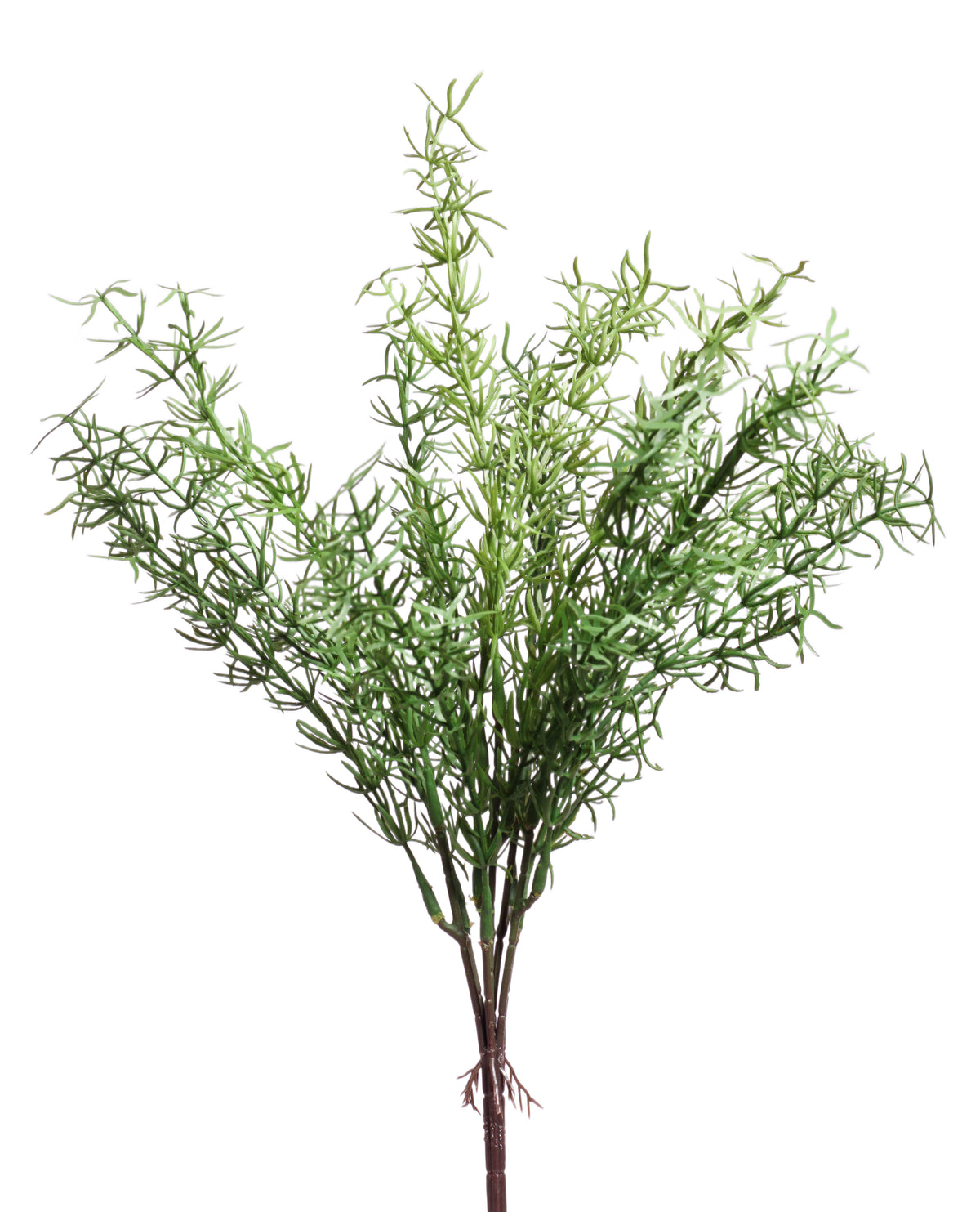 Asparagus Artificial Greenery Bunch