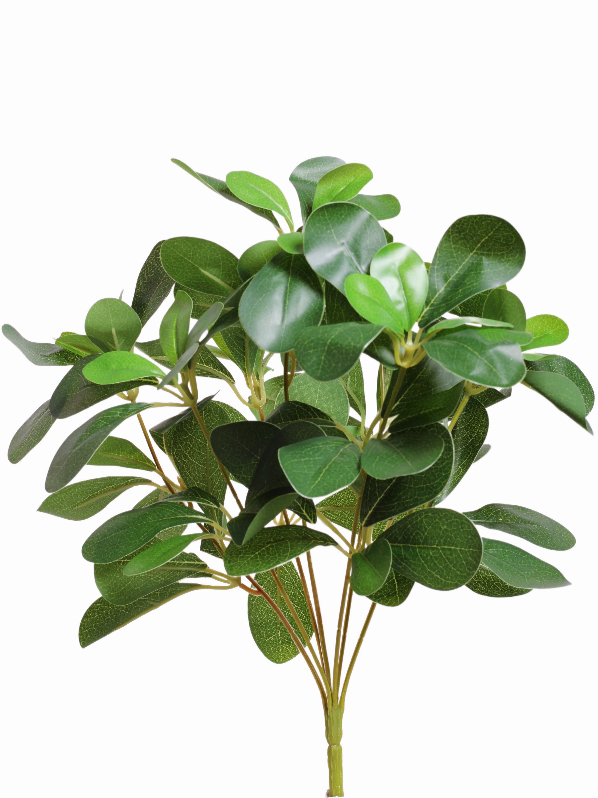 Schefflera Artificial Greenery Bunch