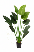 Augusta Artificial Tree 3 Yellowish Trunks - H160CM