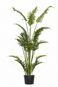 Areca Artificial Palm Tree Dot Multi Trunks - H170CM