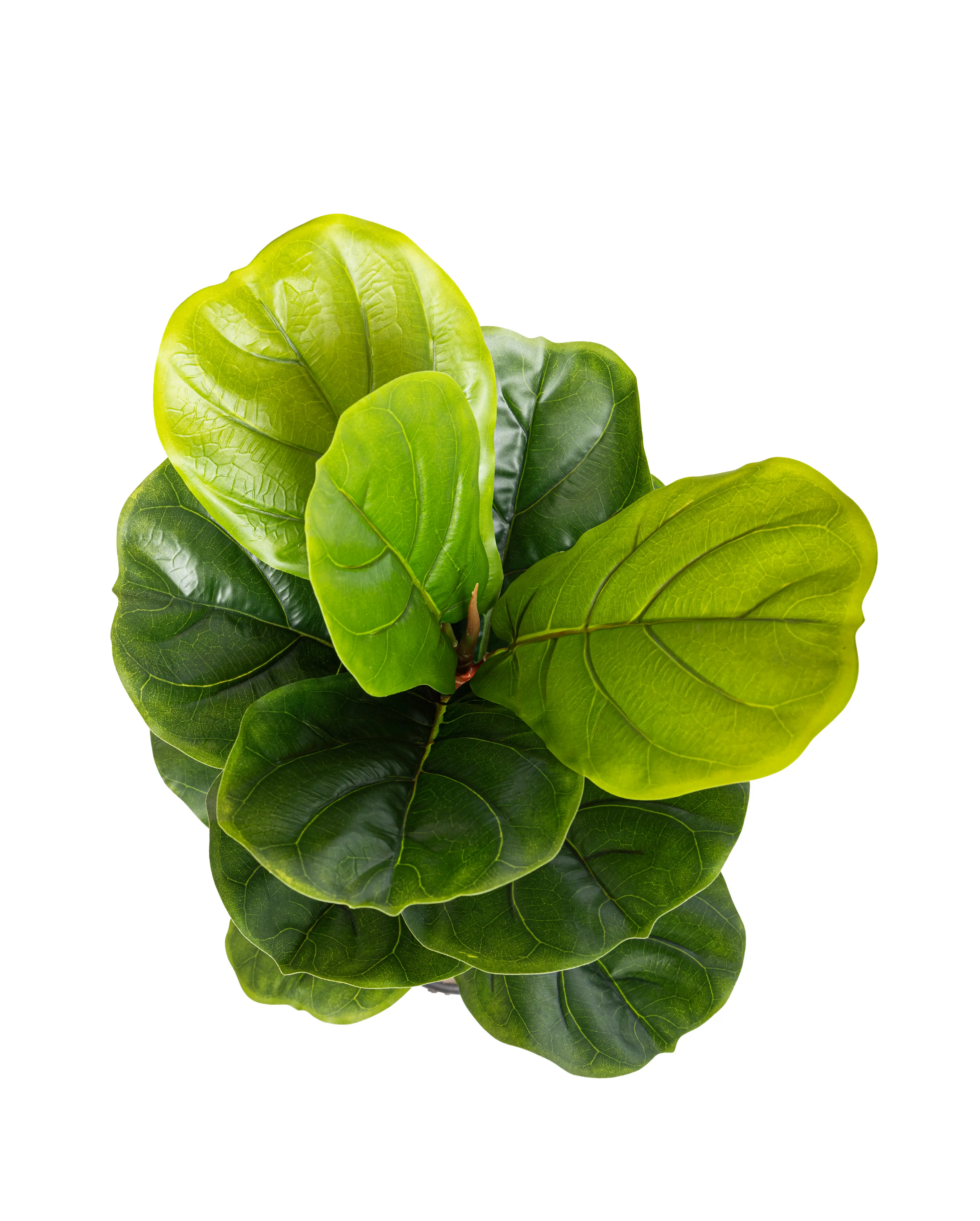 Fiddle Leaf Fig Mini Artificial Tree Single Trunk 1 Branche - H75CM