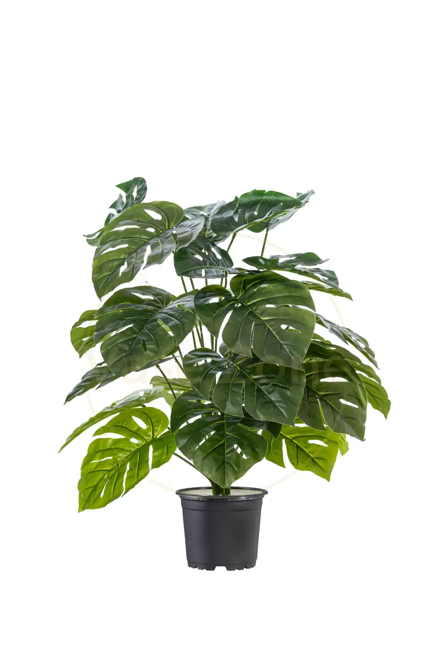 Monstera Mini Artificial Tree 24 Installable Green Leaves - H70CM