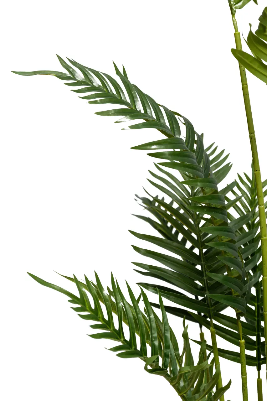 Areca Artificial Palm Tree Dot Multi Trunks - H170CM
