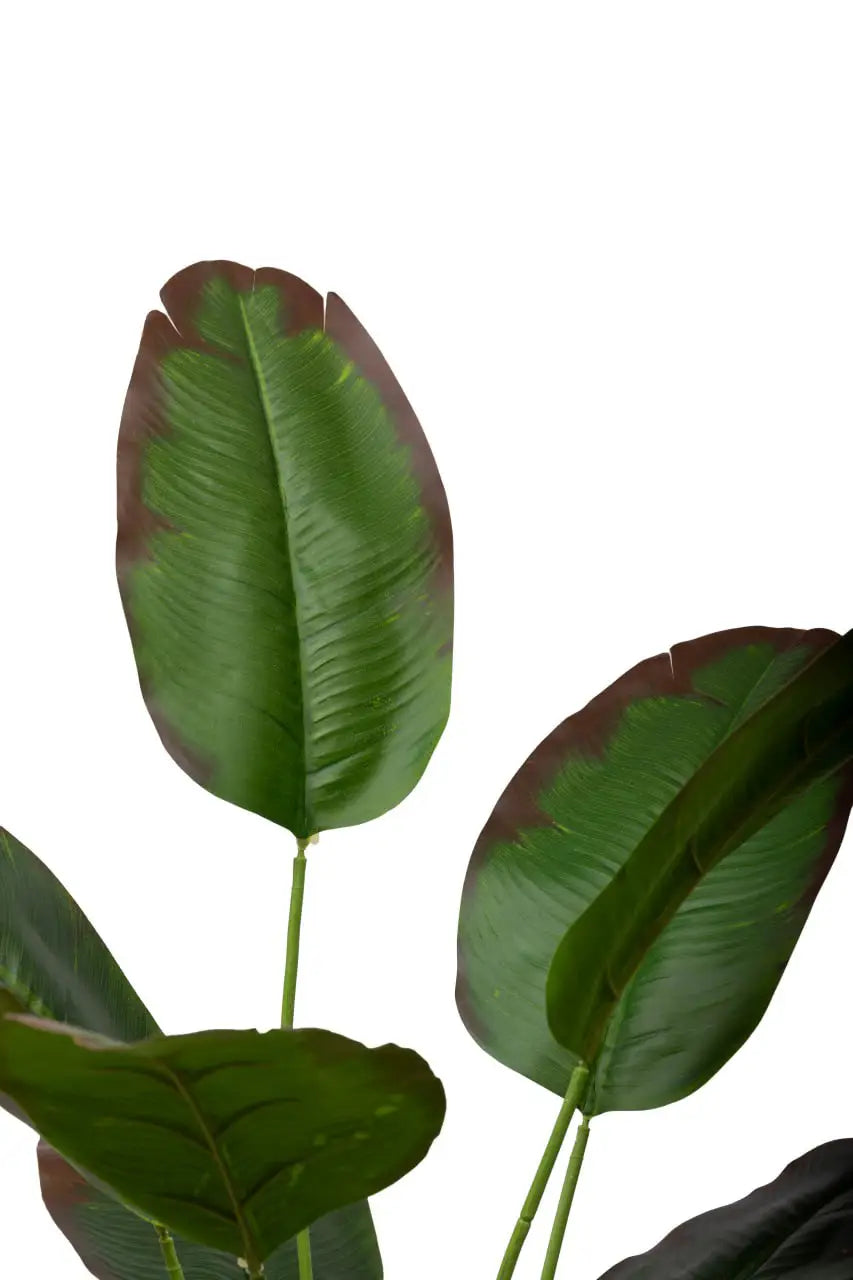 Banana Mini Artificial Tree 18 Installable Green Brownish Leaves - H70CM