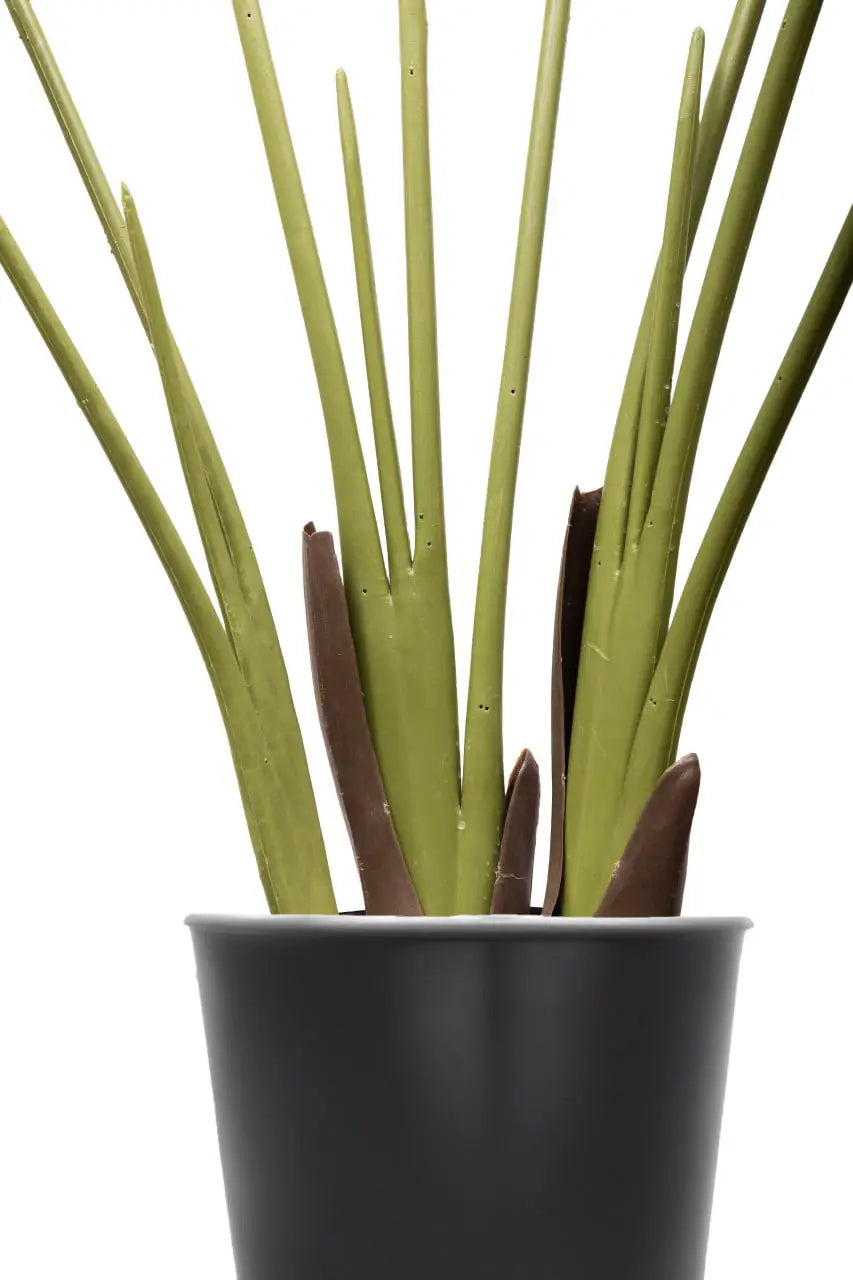 Augusta Artificial Tree 3 Trunks - H120CM