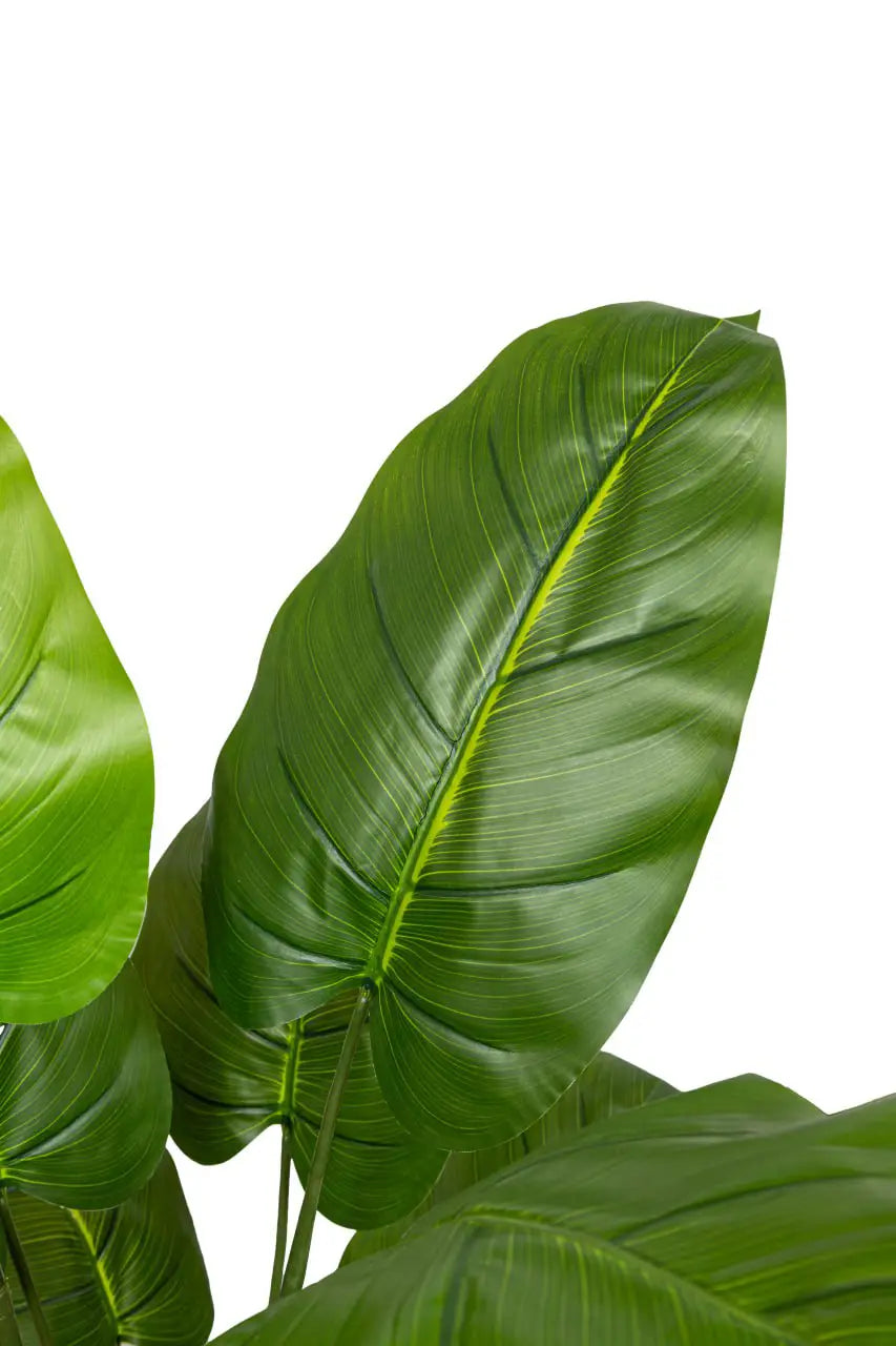 Banana Artificial Tree Single Yellowish Trunk 16 Leaves - H160CM