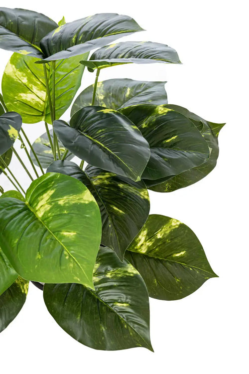 Alocasia Mini Artificial Tree 24 Installable Lush Yellow-Green Leaves - H70CM